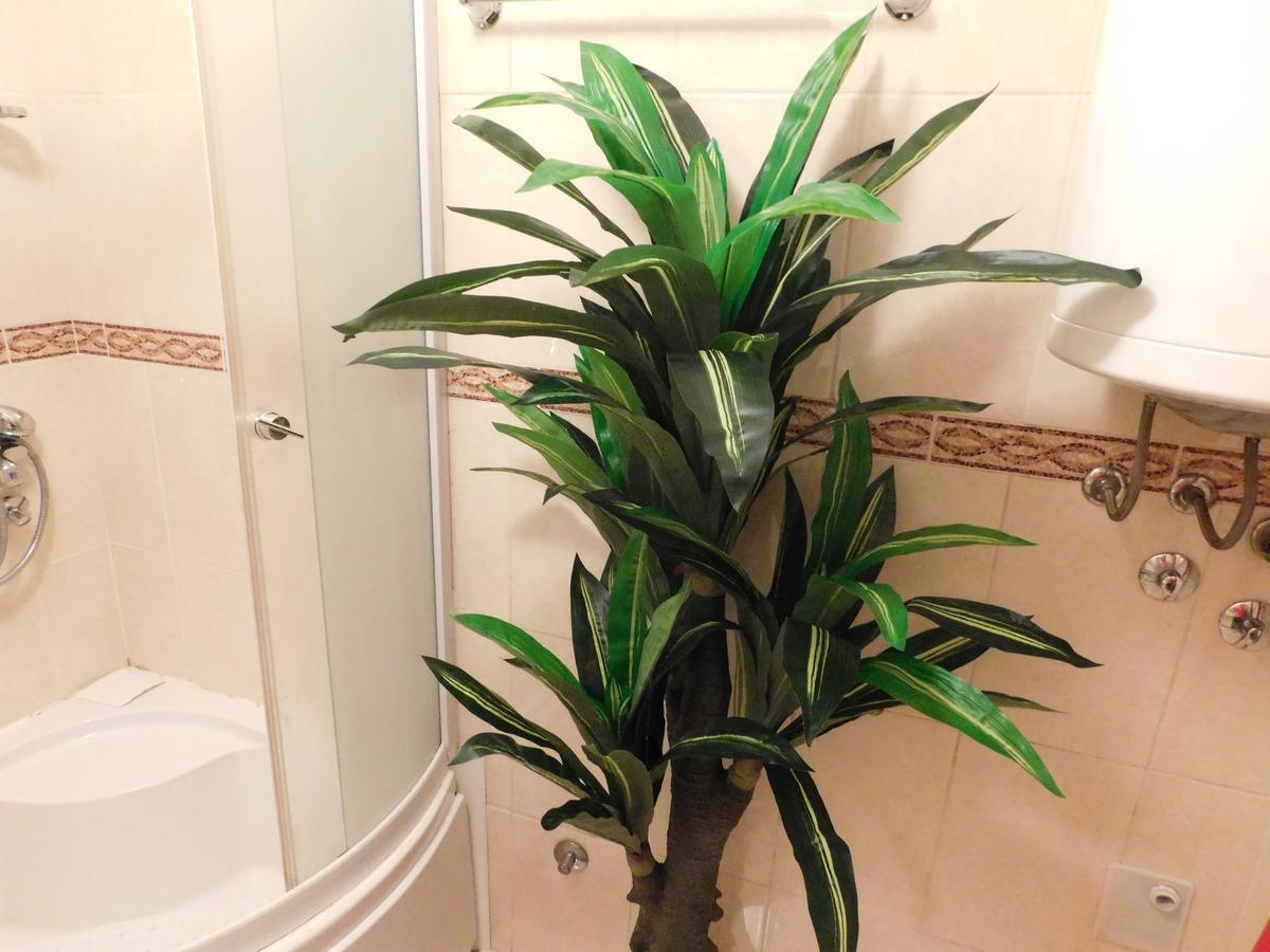 Velvet Lux Apartment Nis Bagian luar foto